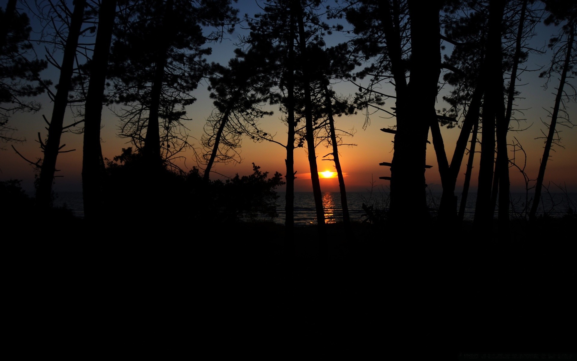 niebo świt zachód słońca drzewo krajobraz słońce natura podświetlany mgła drewno wieczorem światło dobra pogoda sylwetka mgła zmierzch na zewnątrz