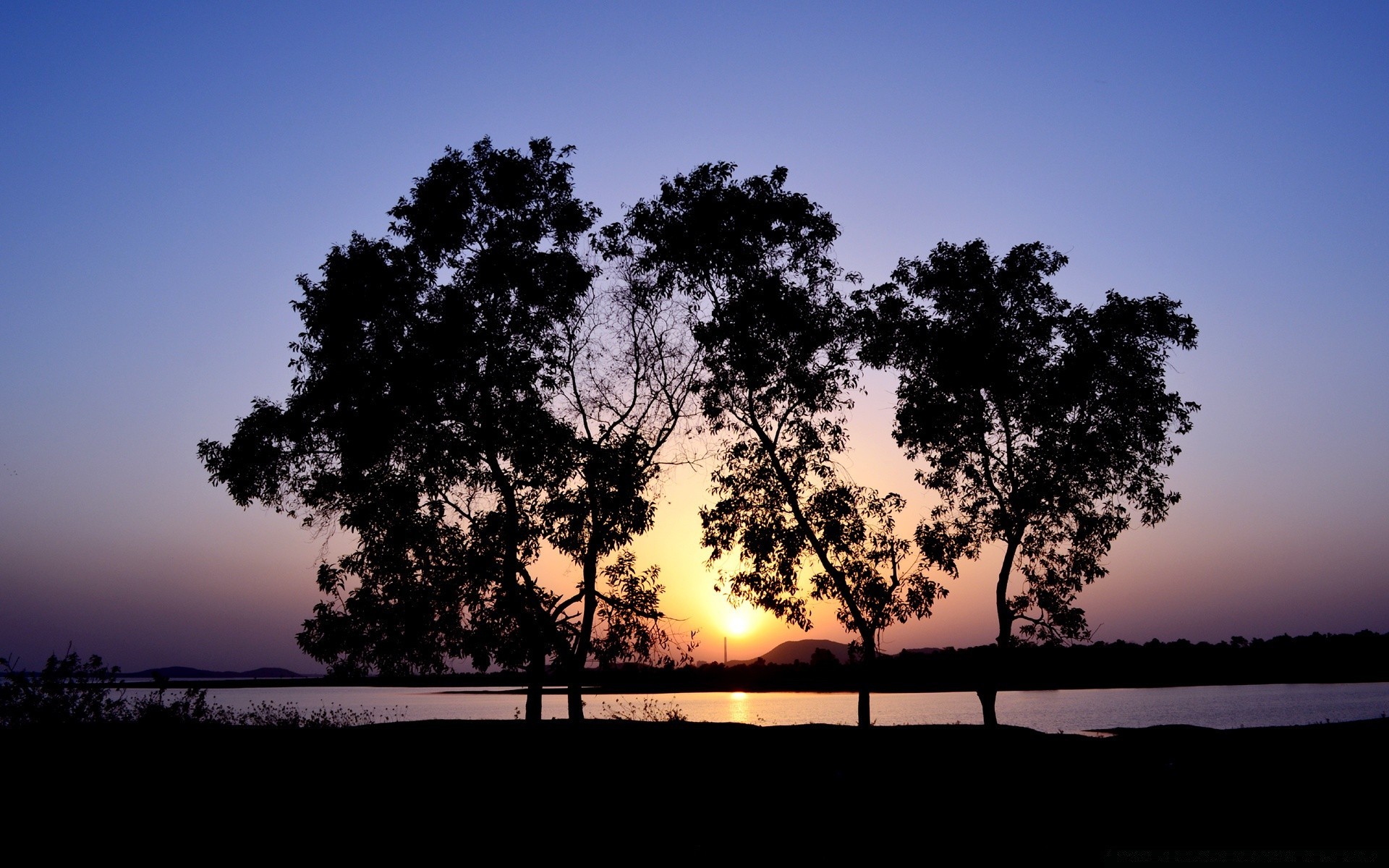 ciel aube soleil coucher de soleil arbre paysage nature rétro-éclairé silhouette ciel été soir beau temps crépuscule à l extérieur lumière brouillard eau brouillard