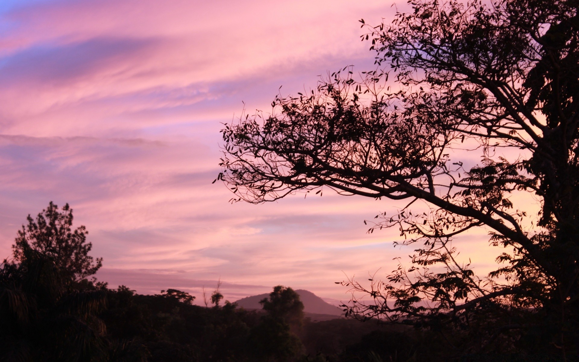 cielo árbol paisaje amanecer puesta de sol naturaleza cielo sol noche silueta al aire libre iluminado madera niebla parque crepúsculo escénico luz buen tiempo rama