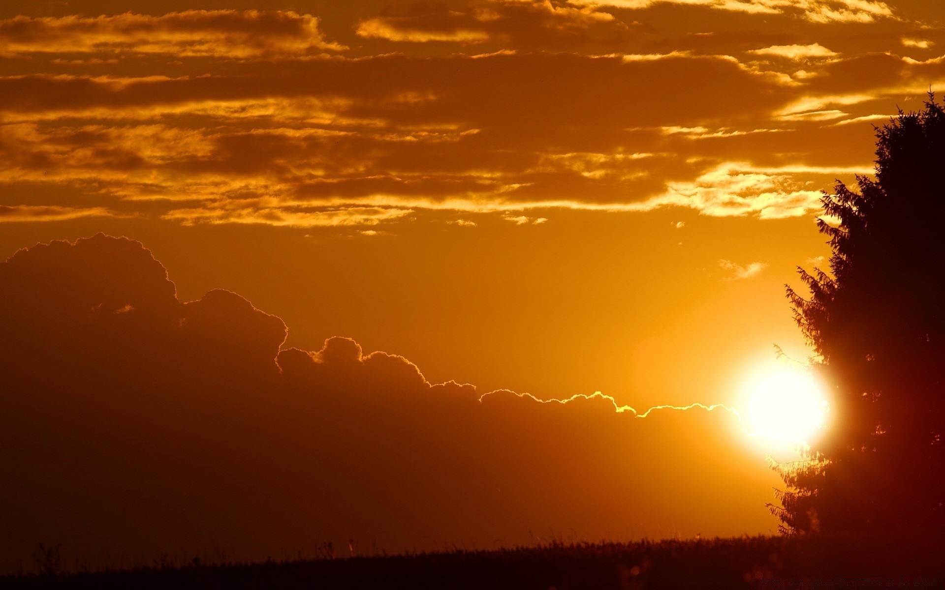 cielo tramonto alba sole sera crepuscolo silhouette paesaggio cielo natura illuminato bel tempo luce nebbia