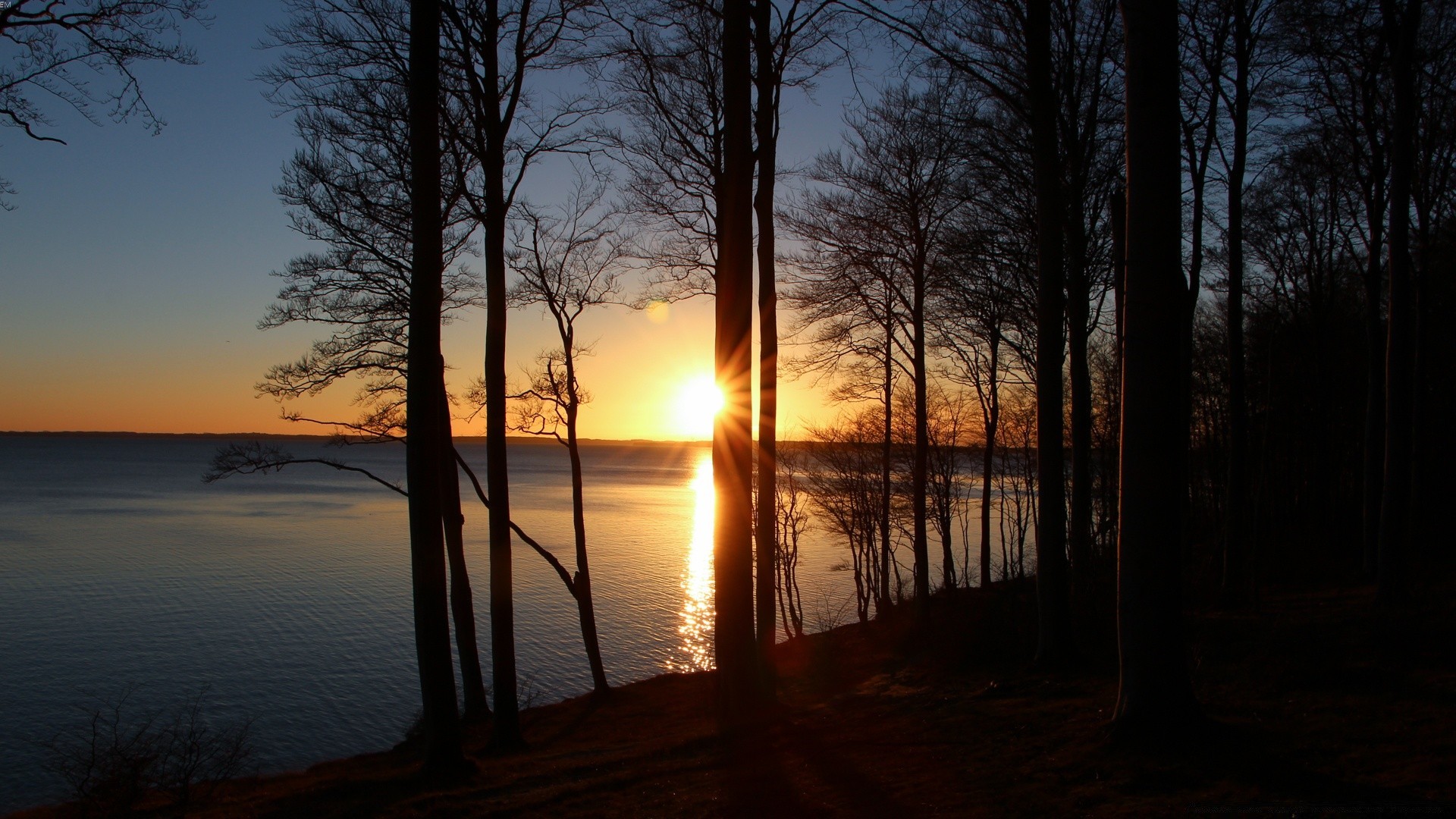 cielo alba tramonto sole sera nebbia paesaggio luce nebbia albero illuminato crepuscolo bel tempo acqua autunno lago riflessione inverno legno natura