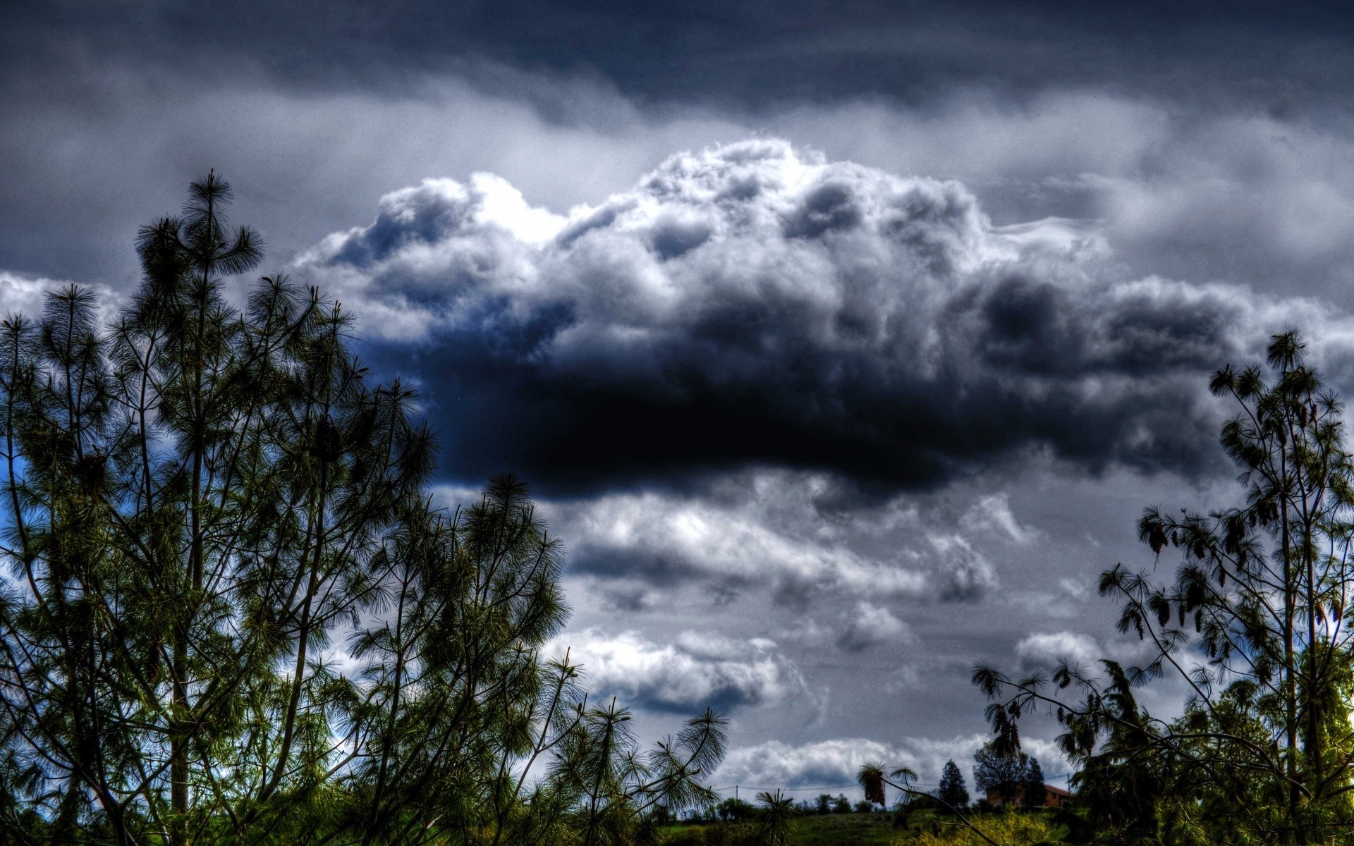 ciel nature ciel paysage nuage tempête arbre météo lumière soleil à l extérieur pluie beau temps été nuageux dramatique scénique coucher de soleil bois beau