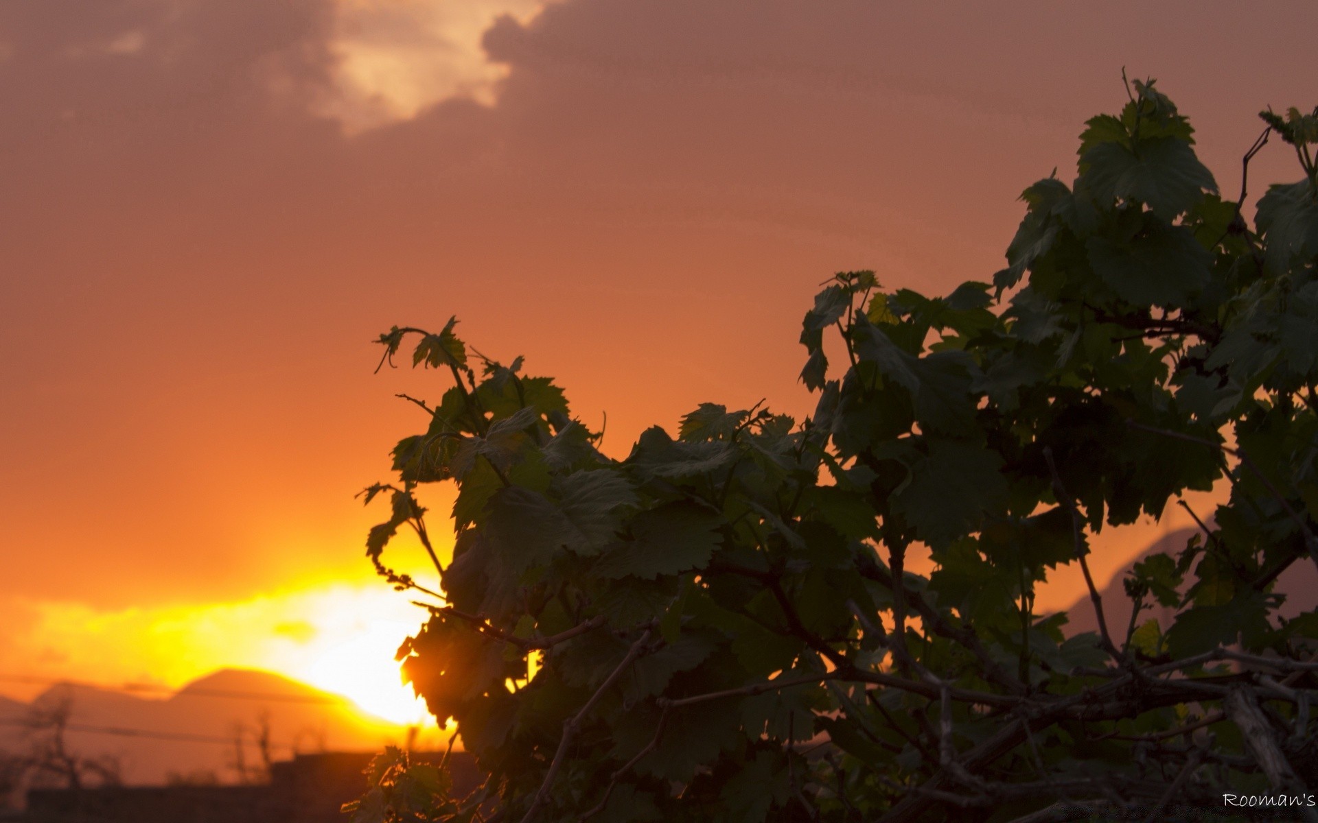 himmel sonnenuntergang hintergrundbeleuchtung sonne baum abend dämmerung silhouette im freien licht landschaft blatt