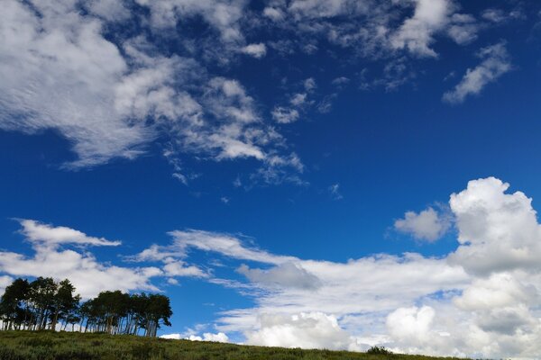 Green trees, white clouds and blue sky