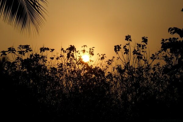 Hermosa puesta de sol por la noche