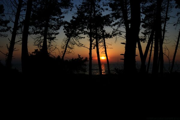 Sunrise against the background of nature, water and trees