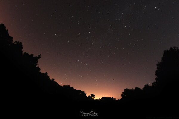 The starry sky in the twilight of the enchanted forest