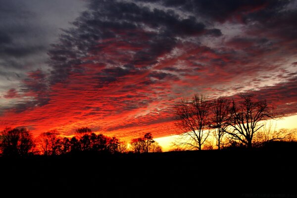 Coucher de soleil écarlate du soir