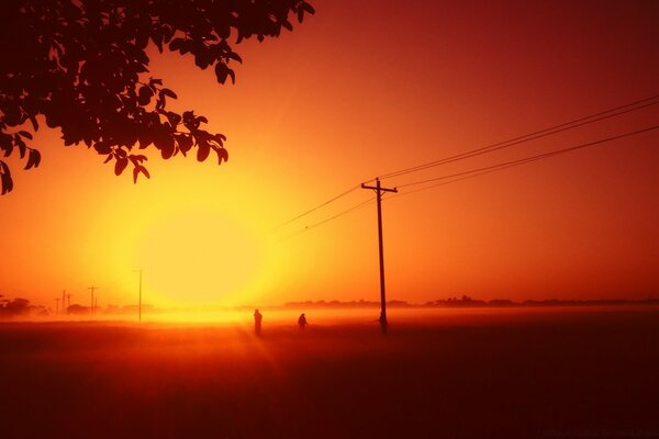 Bright sun at sunset in the evening