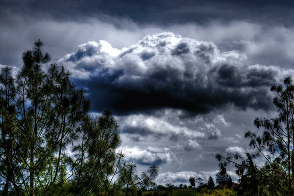 Schwere Gewitterwolken über dem Wald