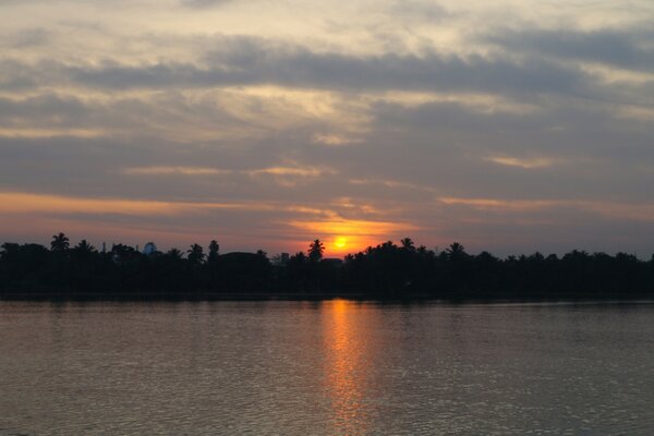 The sun is setting over the trees, I leave a path on the river