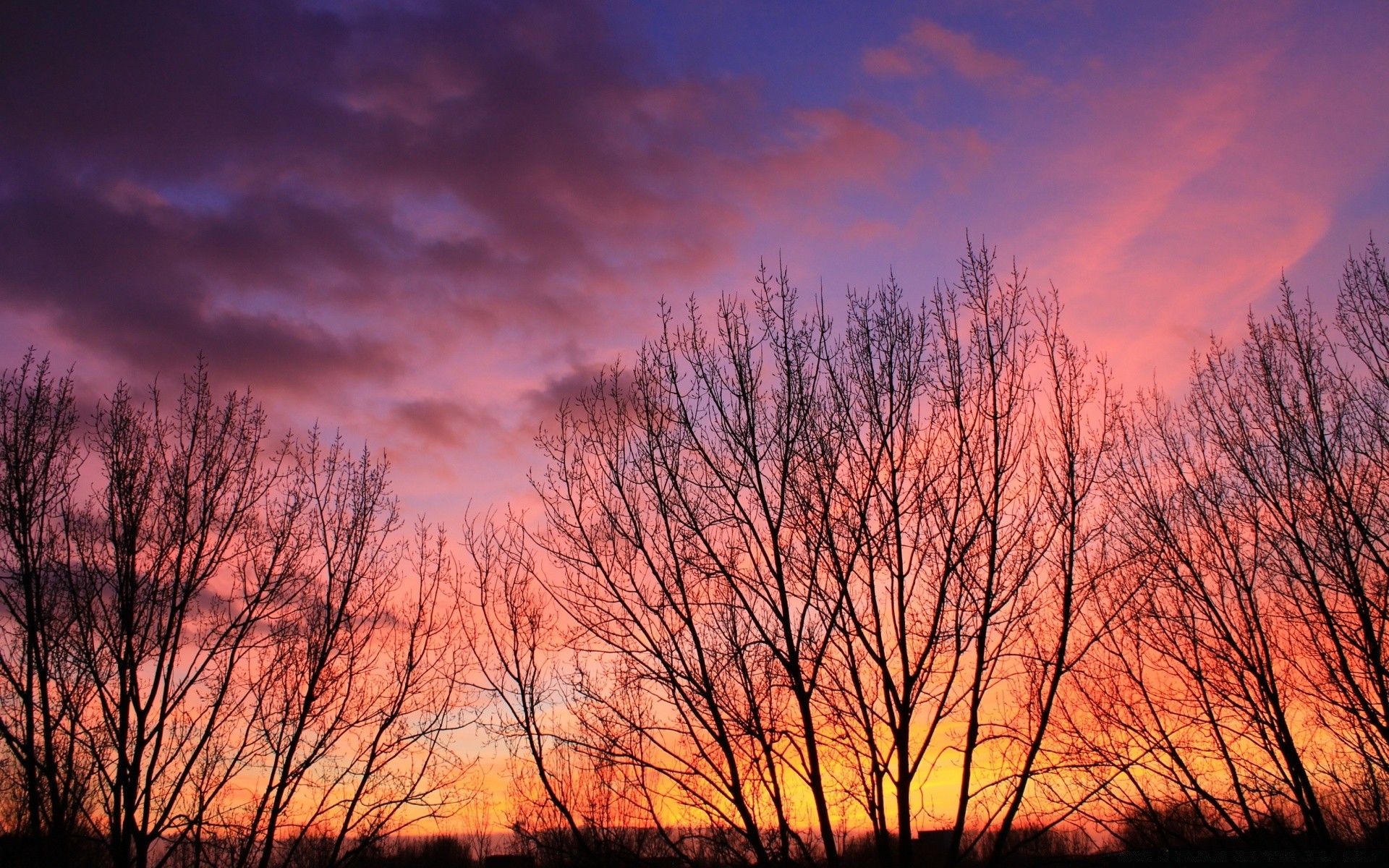 cielo alba albero paesaggio natura tramonto autunno sole sera legno meteo cielo bel tempo nebbia illuminato campagna all aperto