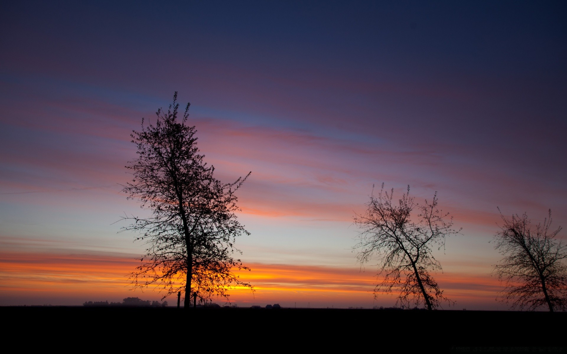 ciel coucher de soleil aube soir nature ciel crépuscule paysage soleil silhouette arbre à l extérieur lumineux beau temps rétro-éclairé