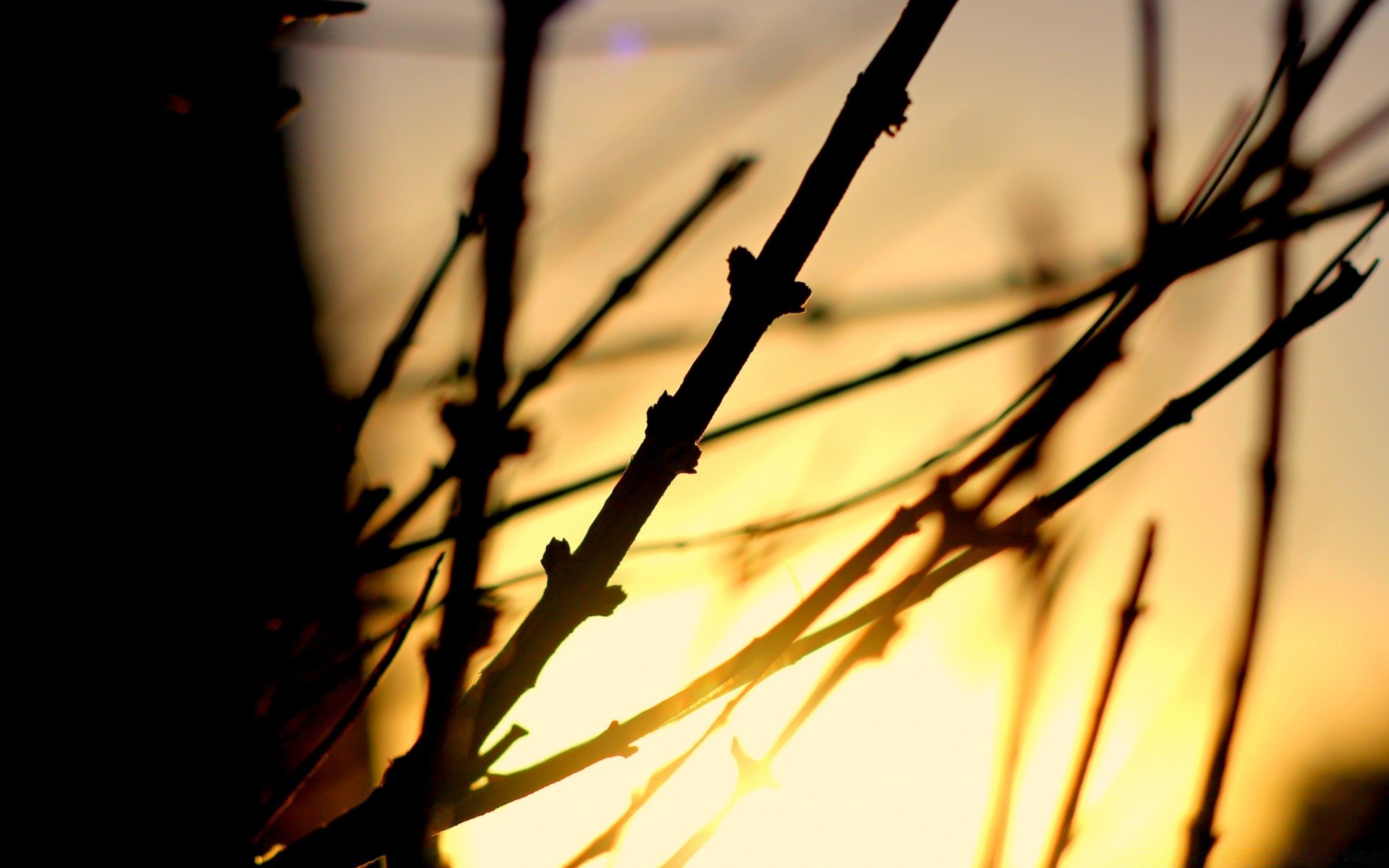 himmel sonnenuntergang dämmerung monochrom licht drähte sonne unschärfe natur dof hintergrundbeleuchtung