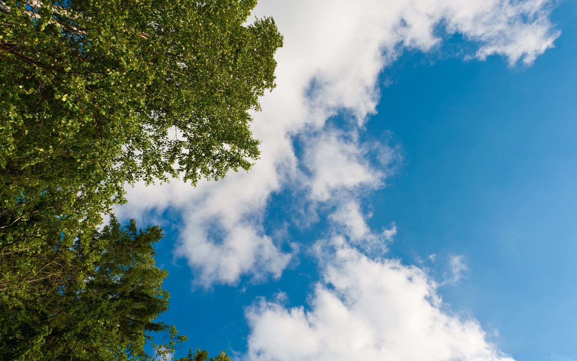 the sky nature outdoors fair weather sky daylight weather summer landscape sun bright environment idyllic