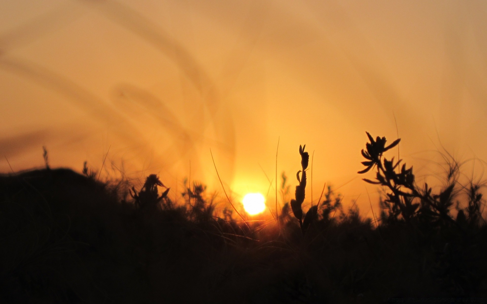 himmel sonnenuntergang dämmerung landschaft silhouette hintergrundbeleuchtung sonne abend himmel licht dämmerung natur baum gold gutes wetter im freien nebel feld medium farbe