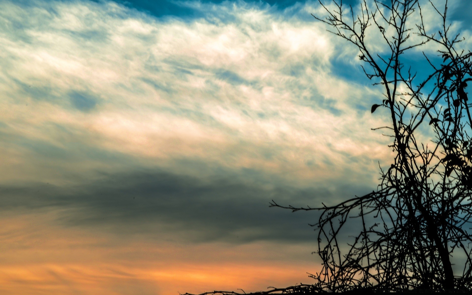 himmel sonnenuntergang himmel landschaft natur sonne dämmerung im freien abend wetter gutes wetter licht dämmerung sommer baum silhouette