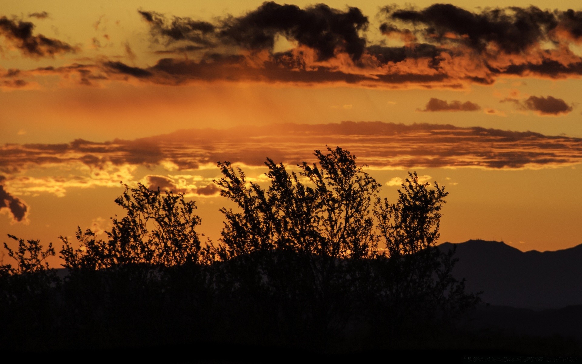 cielo puesta de sol amanecer noche silueta paisaje iluminado árbol crepúsculo cielo sol naturaleza luz al aire libre buen tiempo montañas