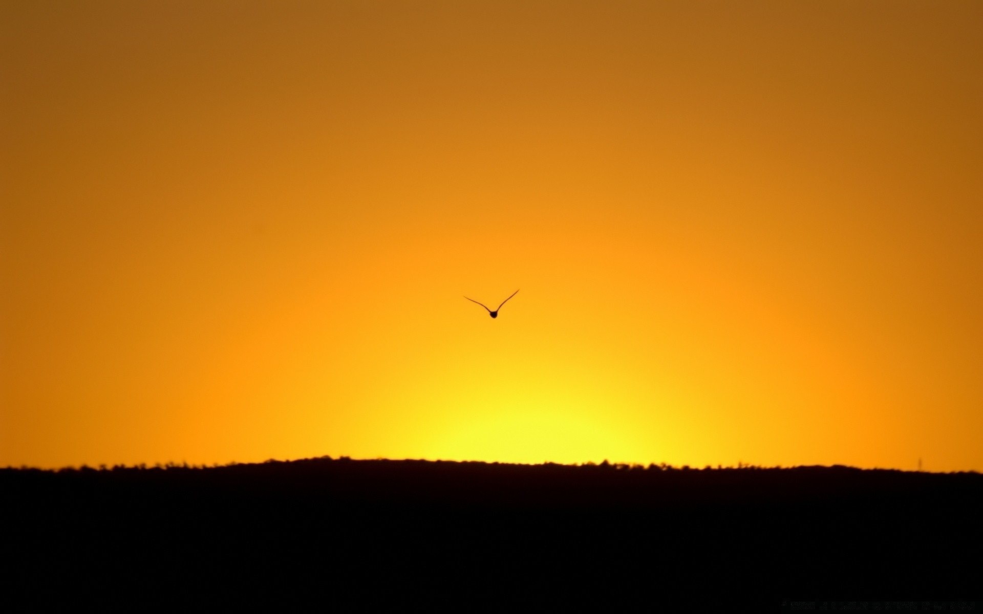 himmel sonnenuntergang hintergrundbeleuchtung silhouette dämmerung abend landschaft dämmerung himmel sonne licht baum windpocken