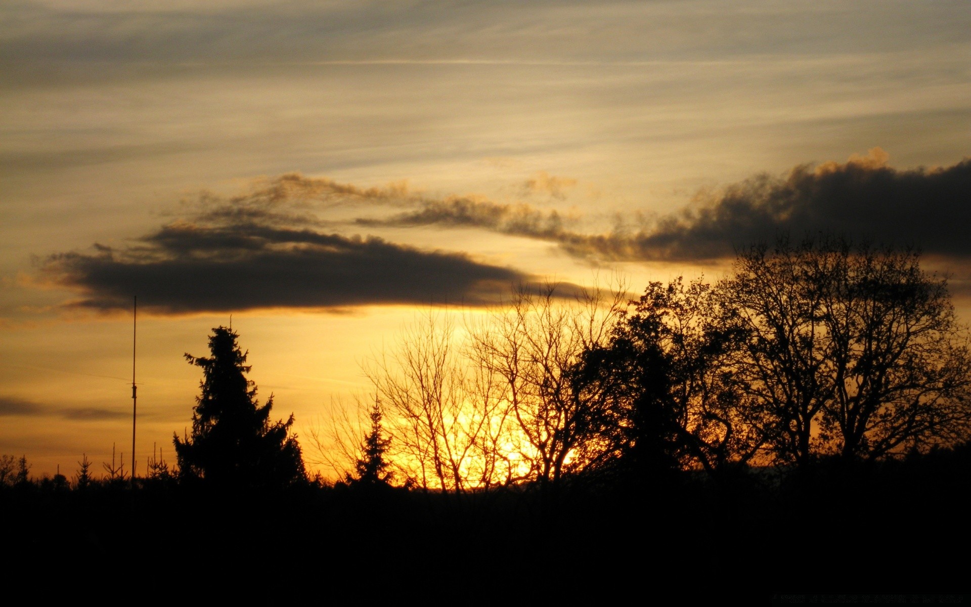 cielo tramonto paesaggio albero alba natura nebbia cielo autunno sera sole all aperto luce nebbia crepuscolo illuminato silhouette scuro