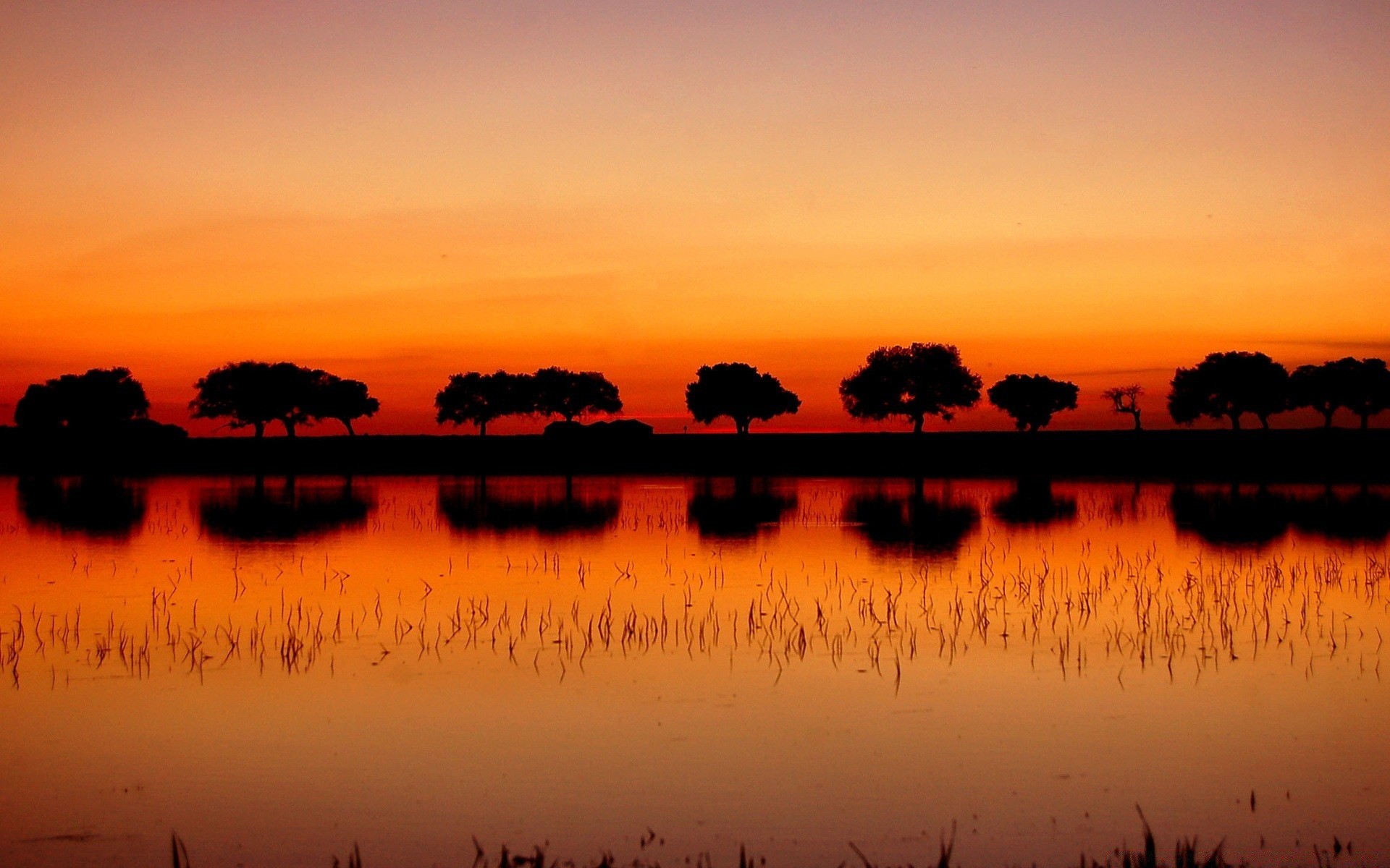 cielo tramonto alba sole acqua riflessione crepuscolo natura cielo sera silhouette estate freddo lago bel tempo all aperto luminoso