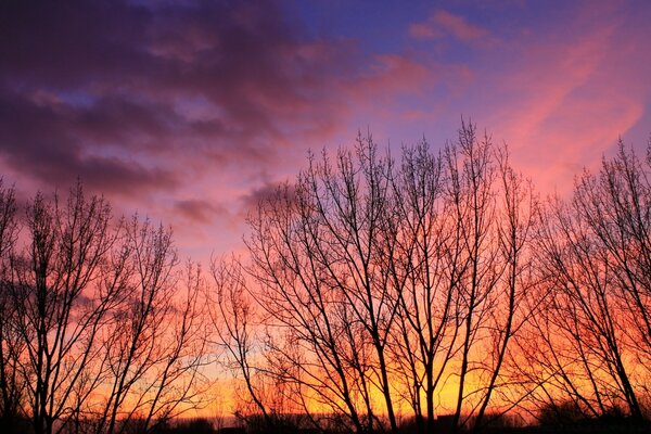 Amanhecer quente no campo