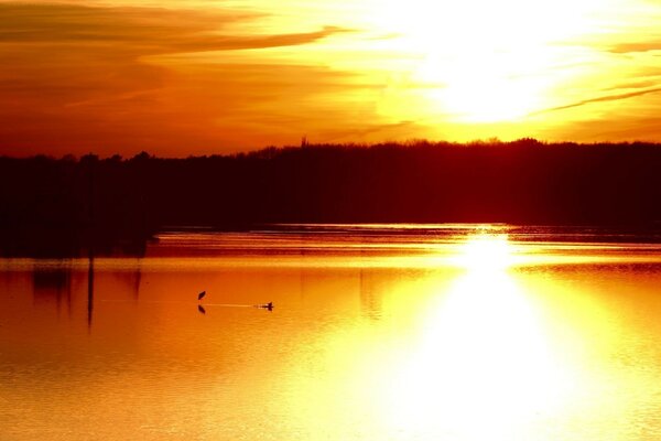 Ein schöner Sonnenuntergang spiegelt sich im Wasser wider