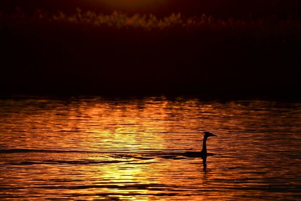 Reflexion von Sonnenuntergang und Morgengrauen auf dem Wasser