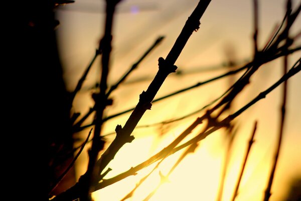 Light in the sky at sunset and dawn