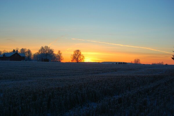 Nature dans la soirée au coucher du soleil