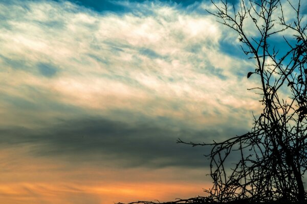 Paesaggio della natura. Tramonto Celeste