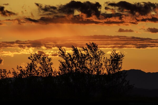 Nuvole e nuvole durante il tramonto