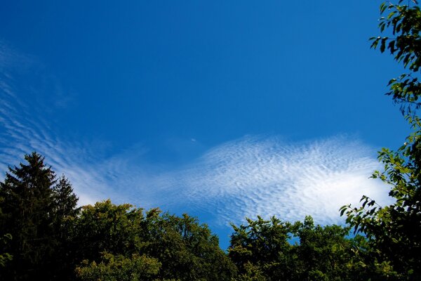 Céu azul ilimitado