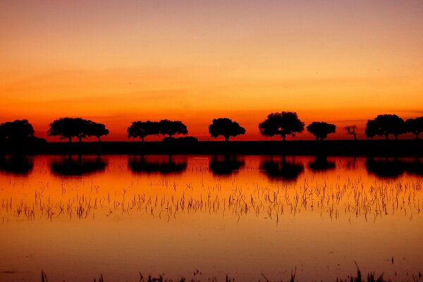 Al tramonto del sole dell acqua