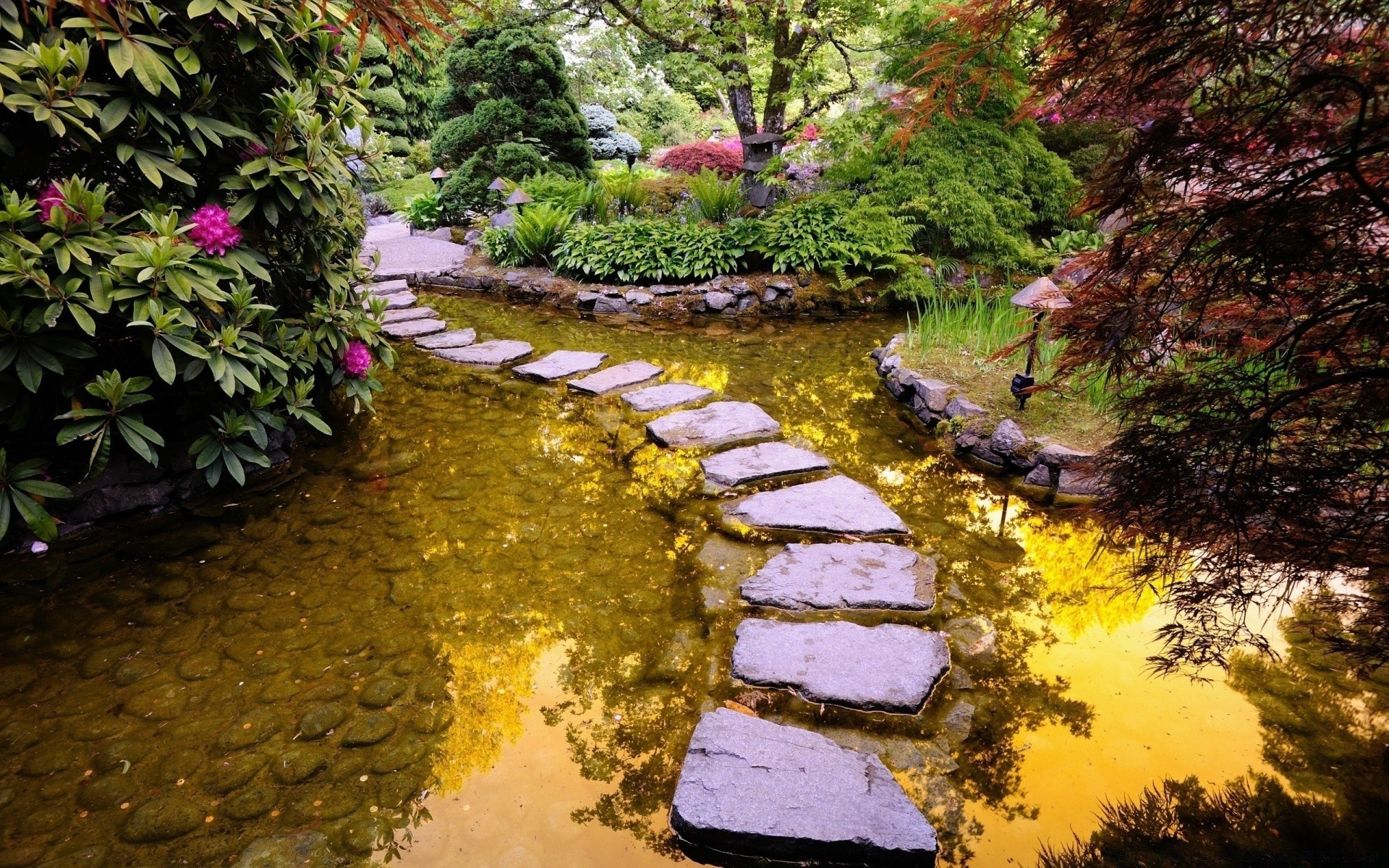 lake water nature leaf tree wood park outdoors travel fall river landscape stone garden flora stream season scenic