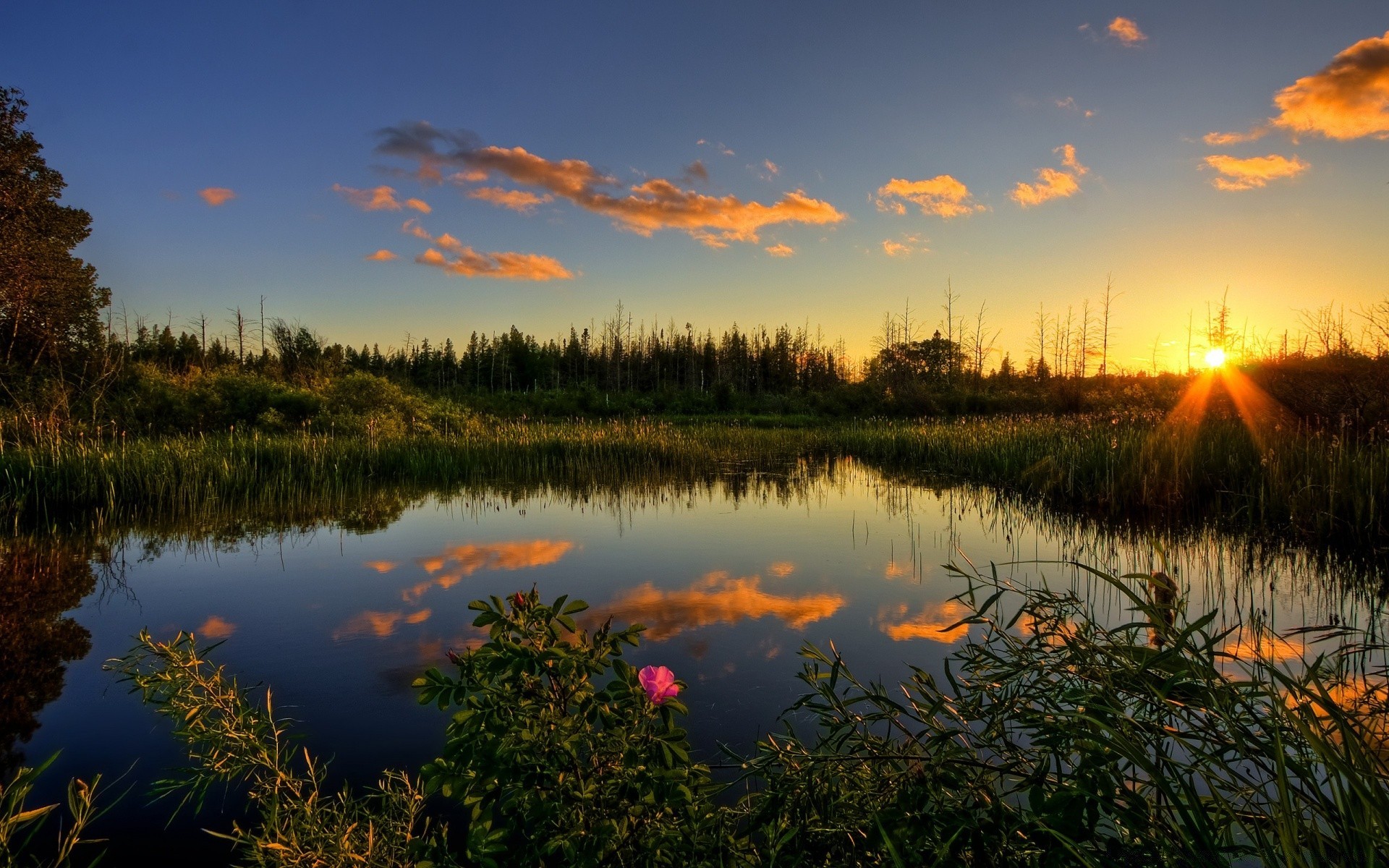 lagos reflexão amanhecer pôr do sol água natureza paisagem outono noite sol ao ar livre rio céu árvore bom tempo