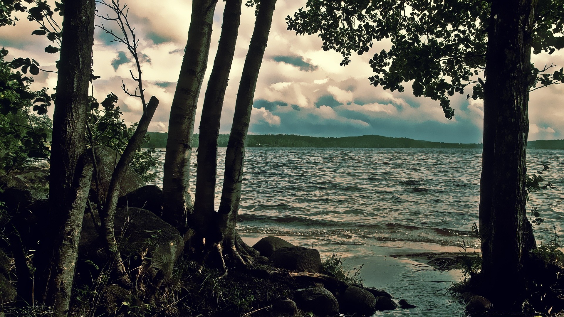 lake tree water landscape wood nature outdoors dawn beach travel sky