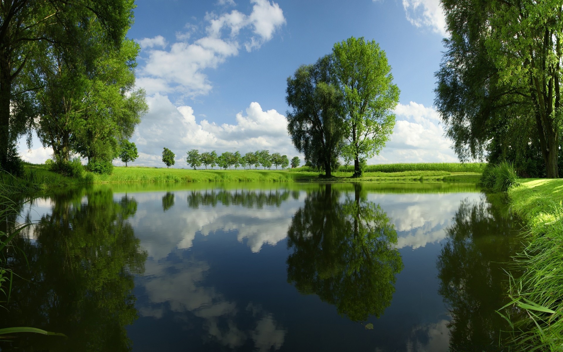 lac nature eau arbre réflexion paysage été bois en plein air piscine rivière feuille herbe environnement beau temps parc aube idylle ciel