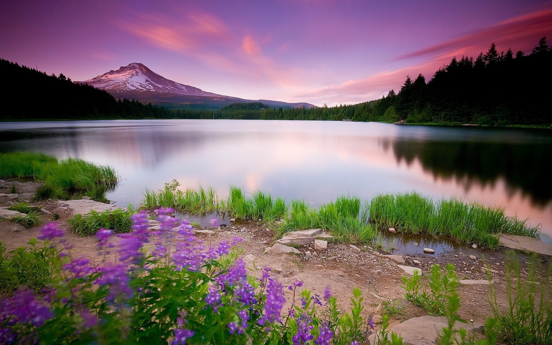 see wasser natur im freien landschaft reisen himmel sonnenuntergang dämmerung sommer fluss gras reflexion landschaftlich