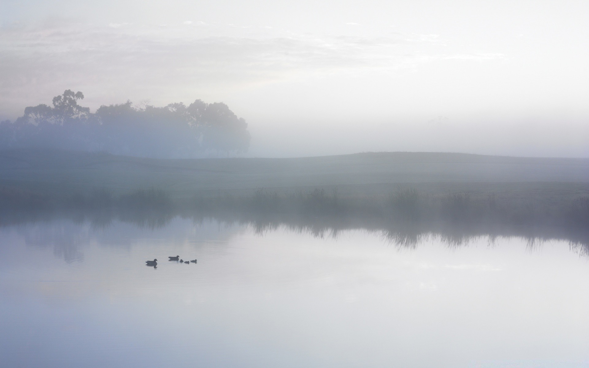 lake fog mist landscape water sky nature dawn smoke outdoors travel