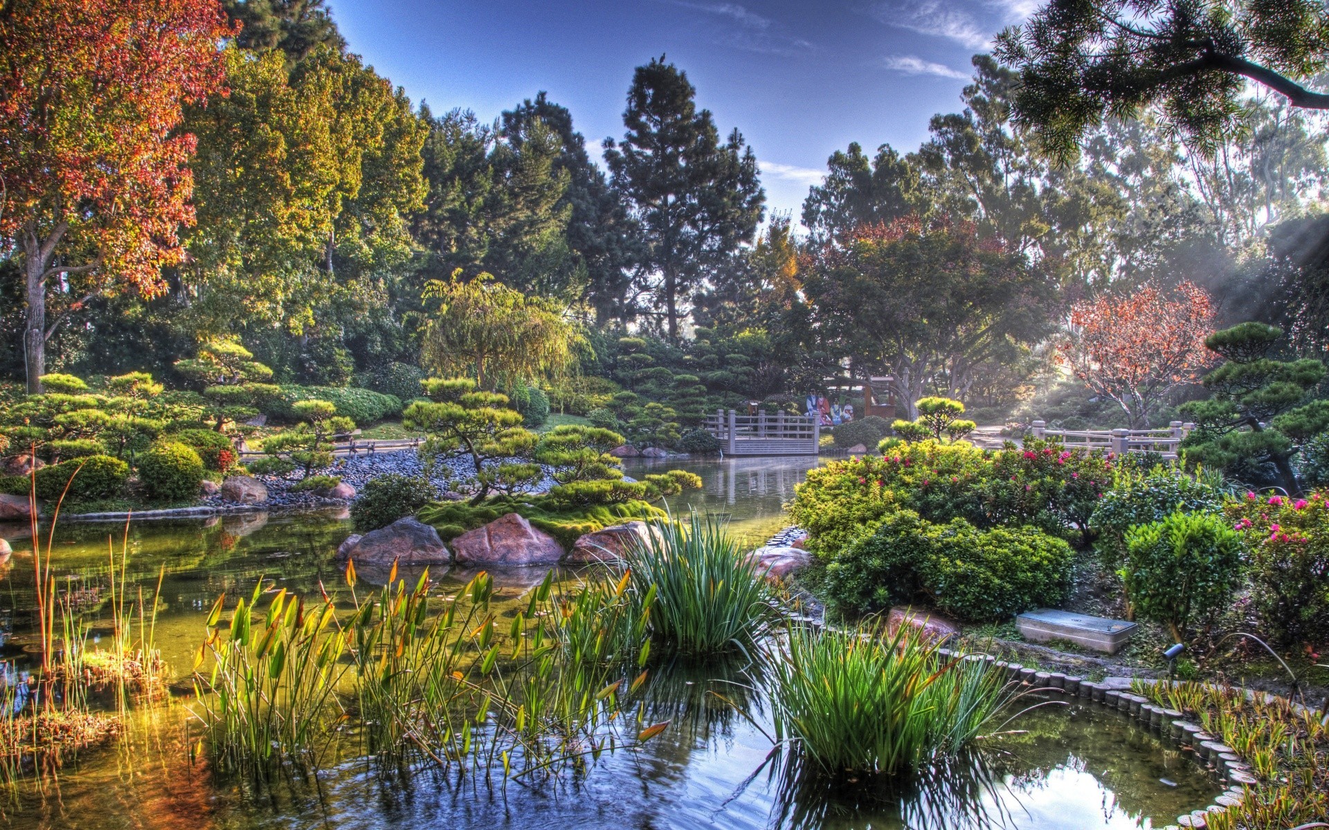 湖泊 水 自然 树 池 叶 秋天 公园 花园 河 倒影 景观 户外 木材 夏天 旅游 季节 风景 美丽