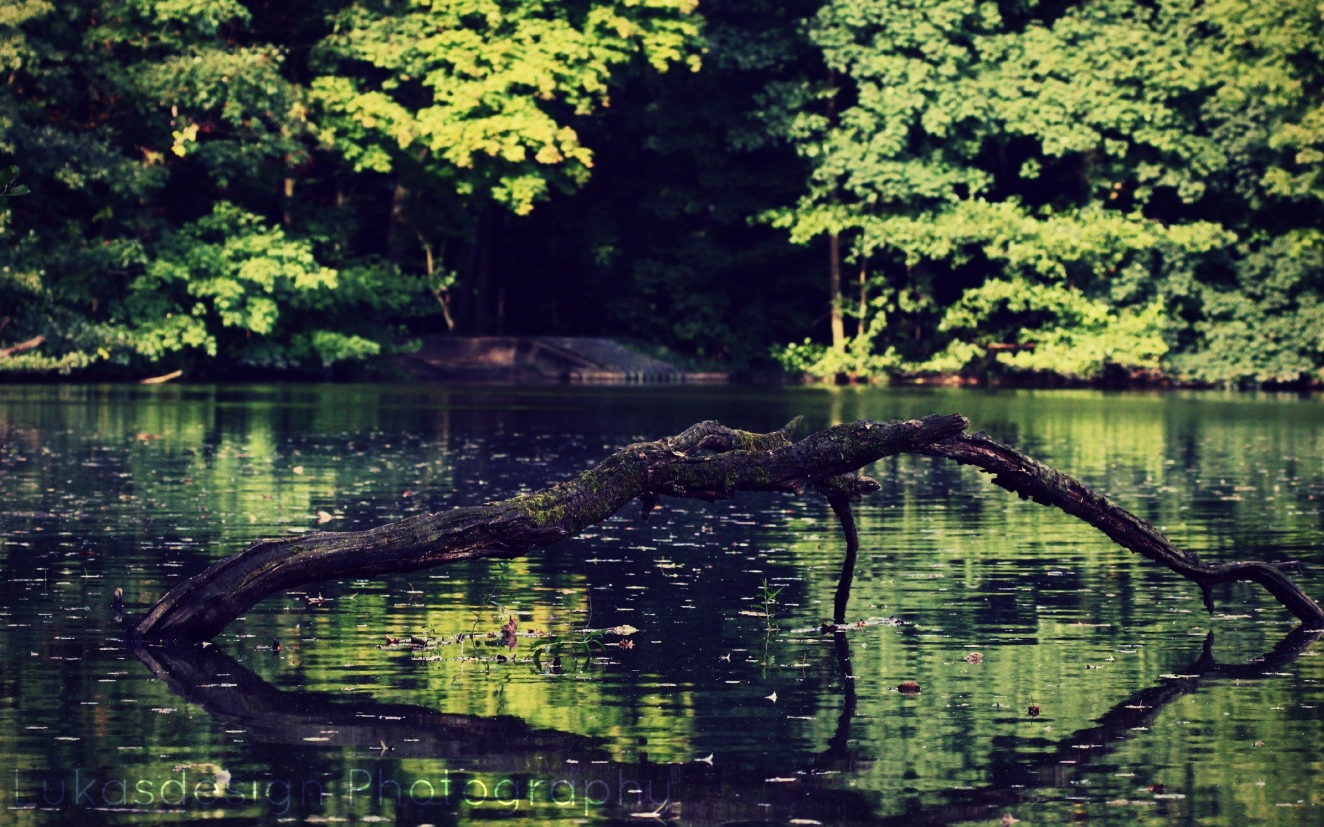 lake water nature reflection river wood outdoors landscape tree pool travel summer leaf scenic