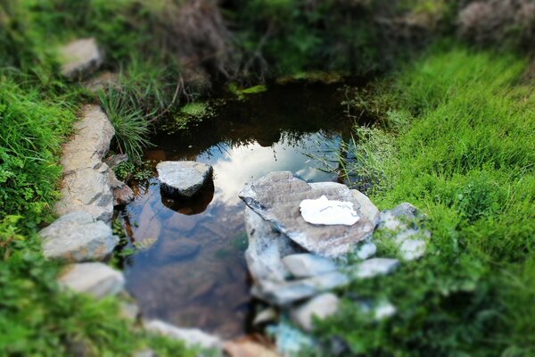 Um pequeno lago com pedras no fundo