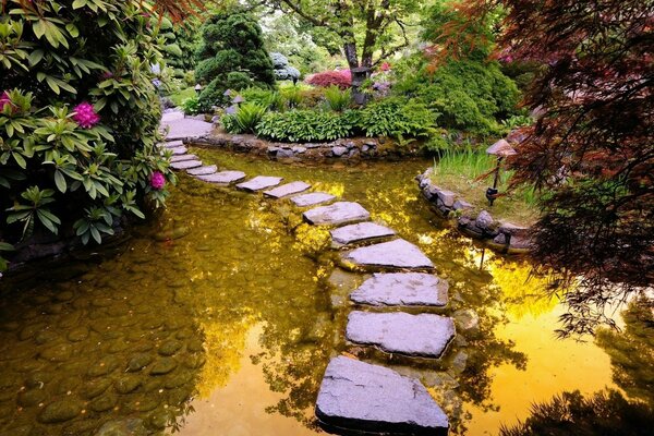 Puente sobre el agua belleza de la naturaleza