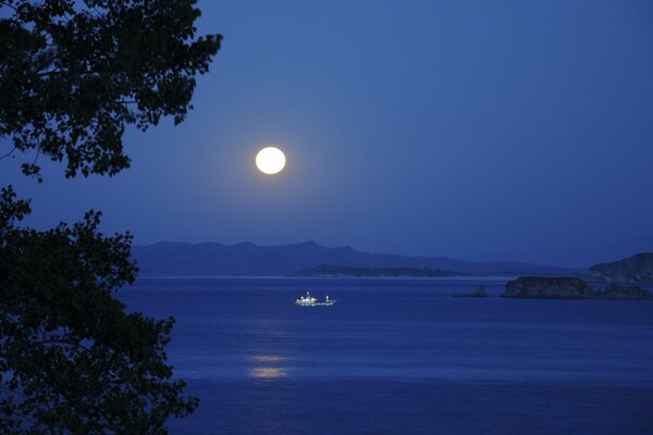 Evening sky with full moon