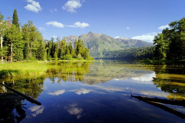 Salvapantallas en el Escritorio árboles que se reflejan en el lago