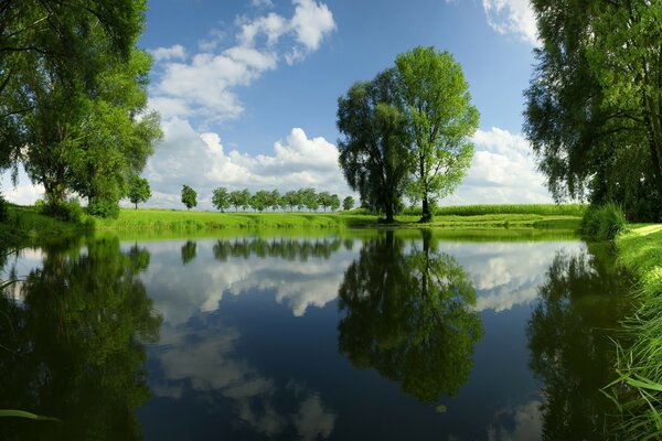 Reflection of green foliage of trees and sky in water