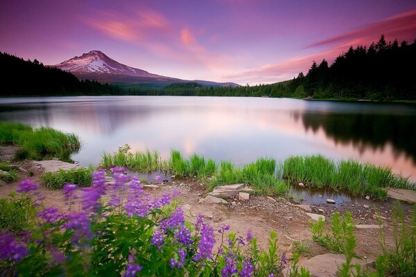 Landscape of a lake on a mountain background