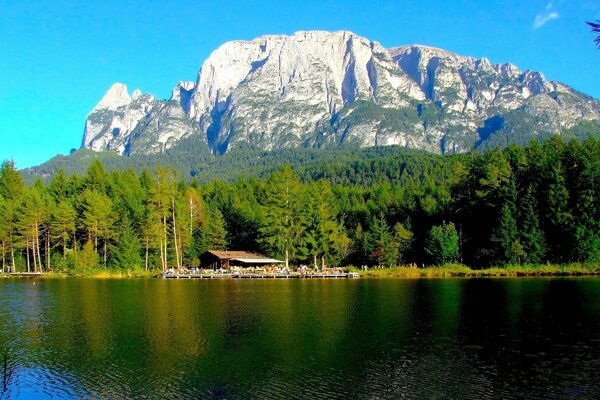 Lake on the background of mountains and forests