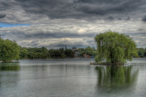 Weide auf einer Insel unter grauen Wolken